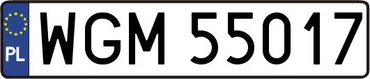 WGM55017