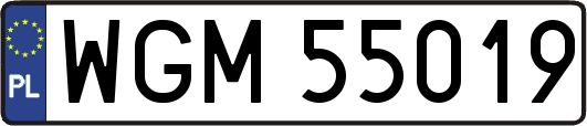 WGM55019