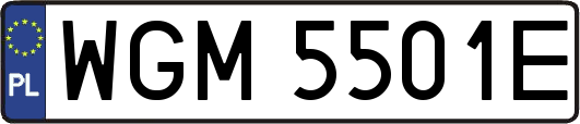 WGM5501E
