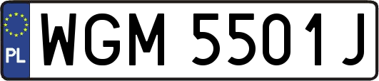 WGM5501J