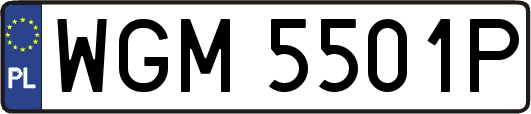 WGM5501P