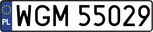 WGM55029