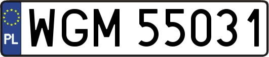WGM55031