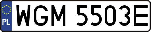 WGM5503E