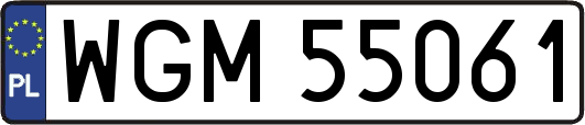 WGM55061