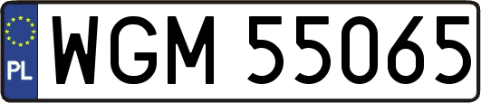 WGM55065