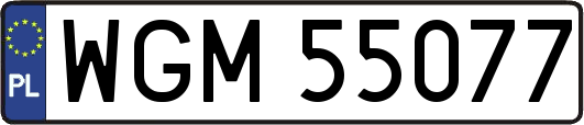 WGM55077