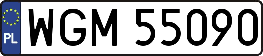 WGM55090