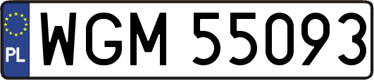 WGM55093