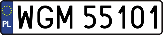 WGM55101