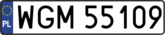 WGM55109