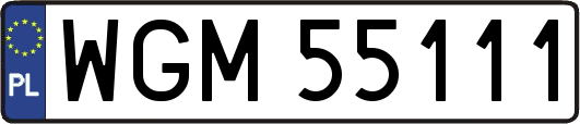 WGM55111
