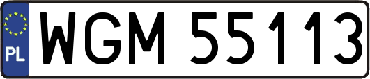 WGM55113