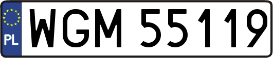 WGM55119