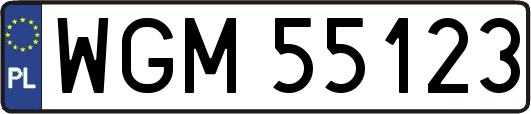 WGM55123
