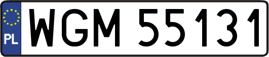 WGM55131