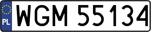 WGM55134