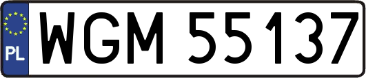 WGM55137