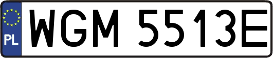 WGM5513E