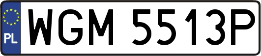 WGM5513P