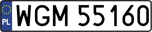 WGM55160