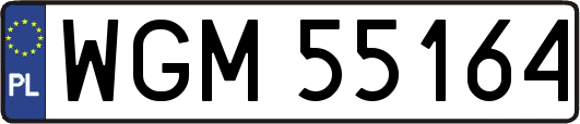 WGM55164