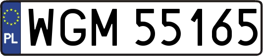 WGM55165
