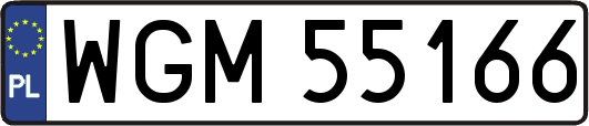 WGM55166