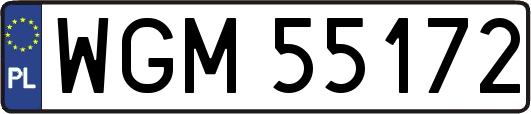 WGM55172