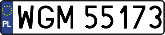 WGM55173