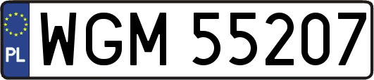 WGM55207