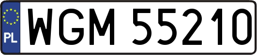 WGM55210