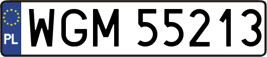 WGM55213