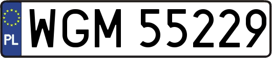 WGM55229