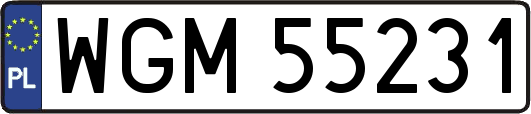 WGM55231
