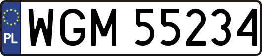 WGM55234