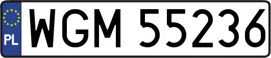 WGM55236