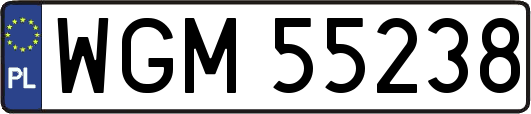 WGM55238