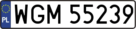 WGM55239