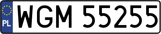 WGM55255