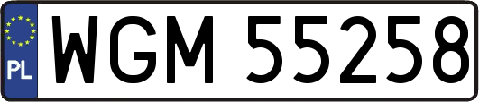 WGM55258