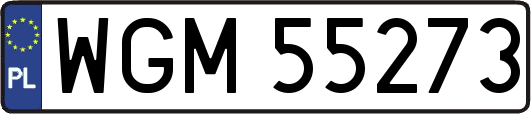 WGM55273