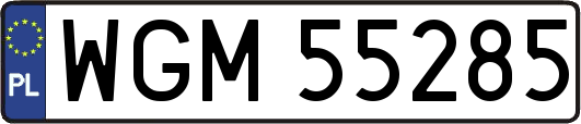 WGM55285