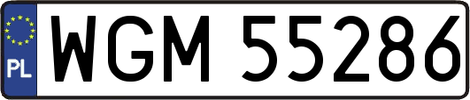 WGM55286