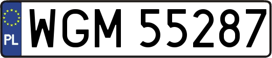 WGM55287