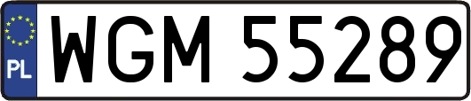 WGM55289