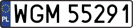 WGM55291