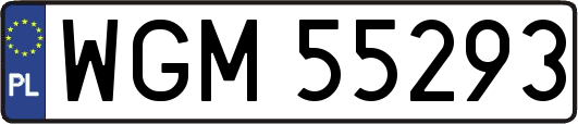WGM55293