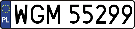 WGM55299