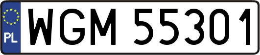 WGM55301